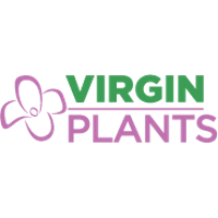 Virgin Plants